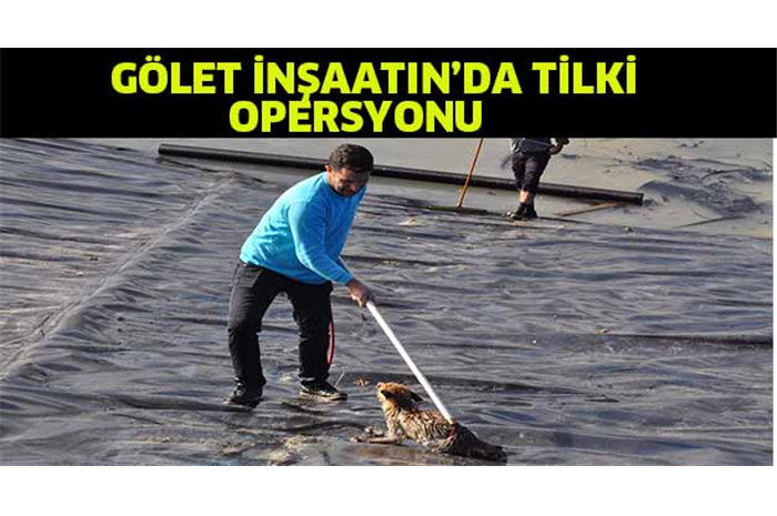 Gölet inşaatında tilki operasyonu