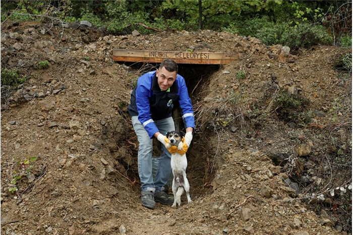 Sokak Canları Korunaklı Yuvalara Kavuştu