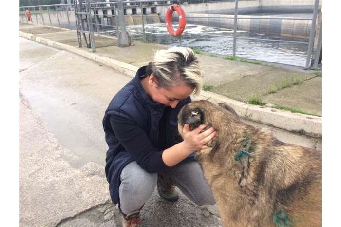 Tedavisi Yapılan Köpek Yuvasına Döndü