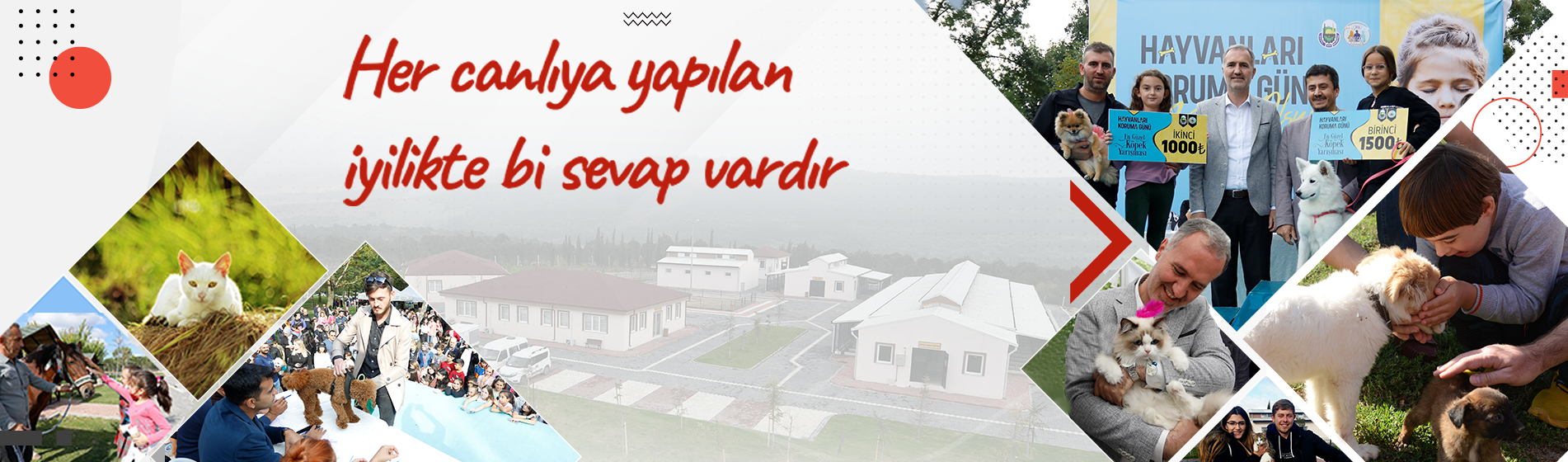 İNEGÖL BELEDİYESİ SAHİPSİZ HAYVANLAR BAKIM VE TEDAVİ MERKEZİ